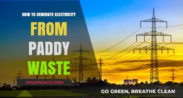 Harnessing Paddy Waste: Innovative Methods to Generate Electricity Sustainably