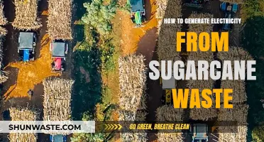 Transforming Sugarcane Waste into Clean, Sustainable Electricity: A Green Energy Guide