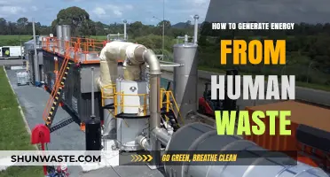 Turning Human Waste into Power: Sustainable Energy Solutions for a Greener Future