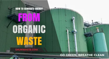 Transforming Organic Waste into Clean Energy: Sustainable Solutions for a Greener Future