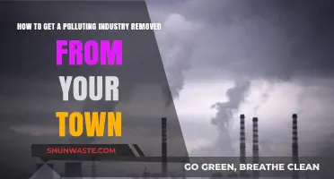 Banish Polluters: Strategies for Removing Harmful Industries