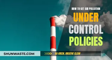 Air Pollution: Effective Policies for Control
