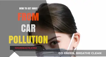 Escape Car Pollution: Breathe Easy with These Tips