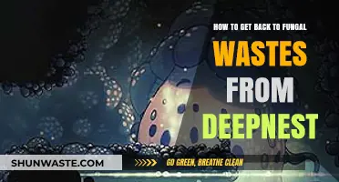 Navigating Deepnest: A Quick Route Back to Fungal Wastes