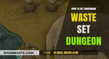 Mastering the Barbarian Waste Set Dungeon: A Comprehensive Guide