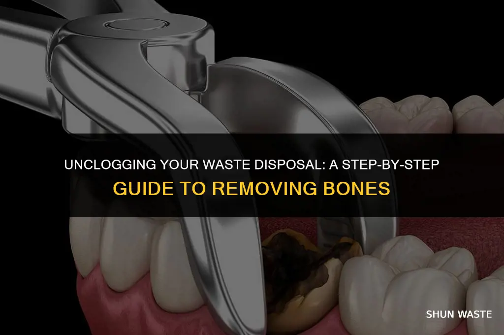 how to get bone out of waste disposal