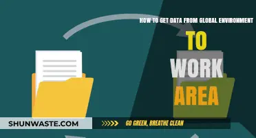 Transferring Global Environment Data to Your Work Area: A Step-by-Step Guide
