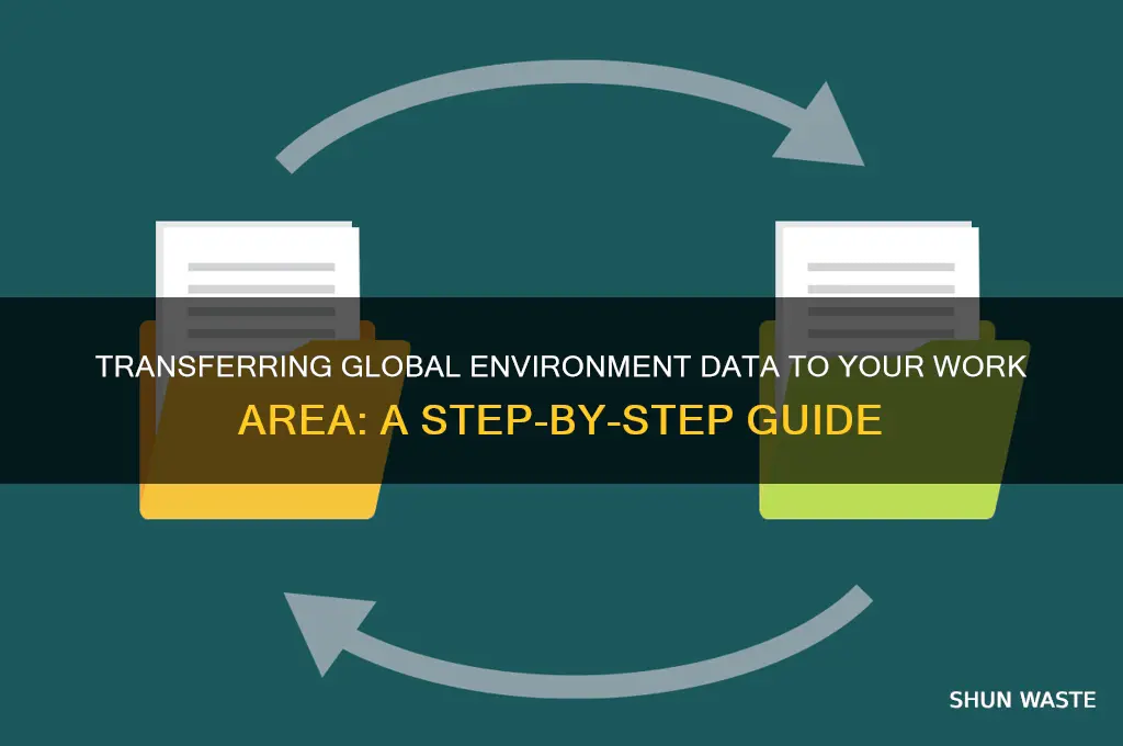 how to get data from global environment to work area