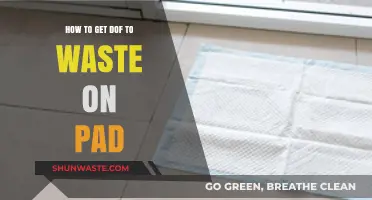 Maximize Your Dof Spending: Tips to Waste on Pad Effectively