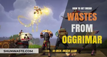 Traveling from Orgrimmar to Dread Wastes: A Step-by-Step Guide