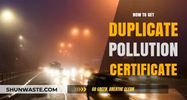 Get a Duplicate Pollution Certificate: Easy Steps to Follow