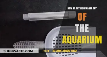 Effective Methods to Remove Fish Waste from Your Aquarium Easily
