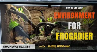 Creating the Perfect Habitat for Your Frogadier: Essential Tips and Tricks