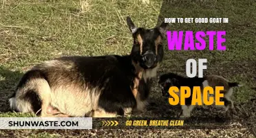 Maximizing Goat Quality in Waste of Space: Effective Tips and Strategies