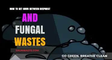 Navigating Grub Locations Between Deepnest and Fungal Wastes in Hollow Knight