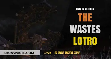 Mastering LOTRO's Wastes: A Beginner's Guide to Survival and Exploration
