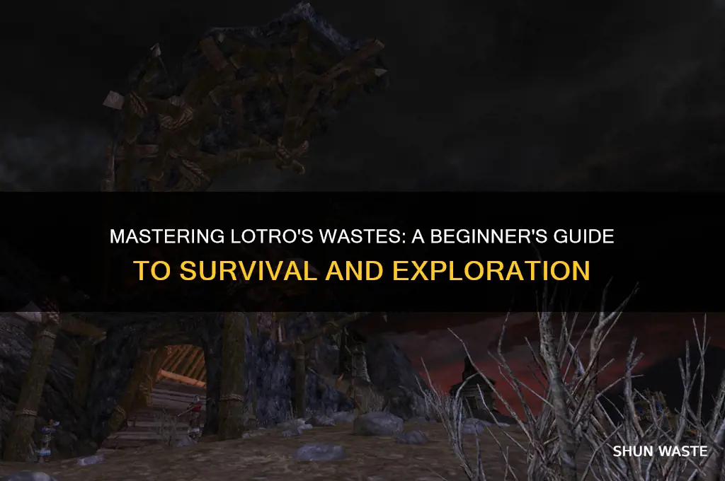 how to get into the wastes lotro