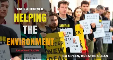 Join the Green Movement: Simple Steps to Help the Environment