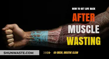 Rebuilding Strength: A Guide to Recovering from Muscle Wasting