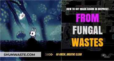 Finding Mask Shards in Deepnest: Fungal Wastes Guide