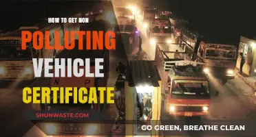 Get Your Non-Polluting Vehicle Certificate: A Step-by-Step Guide