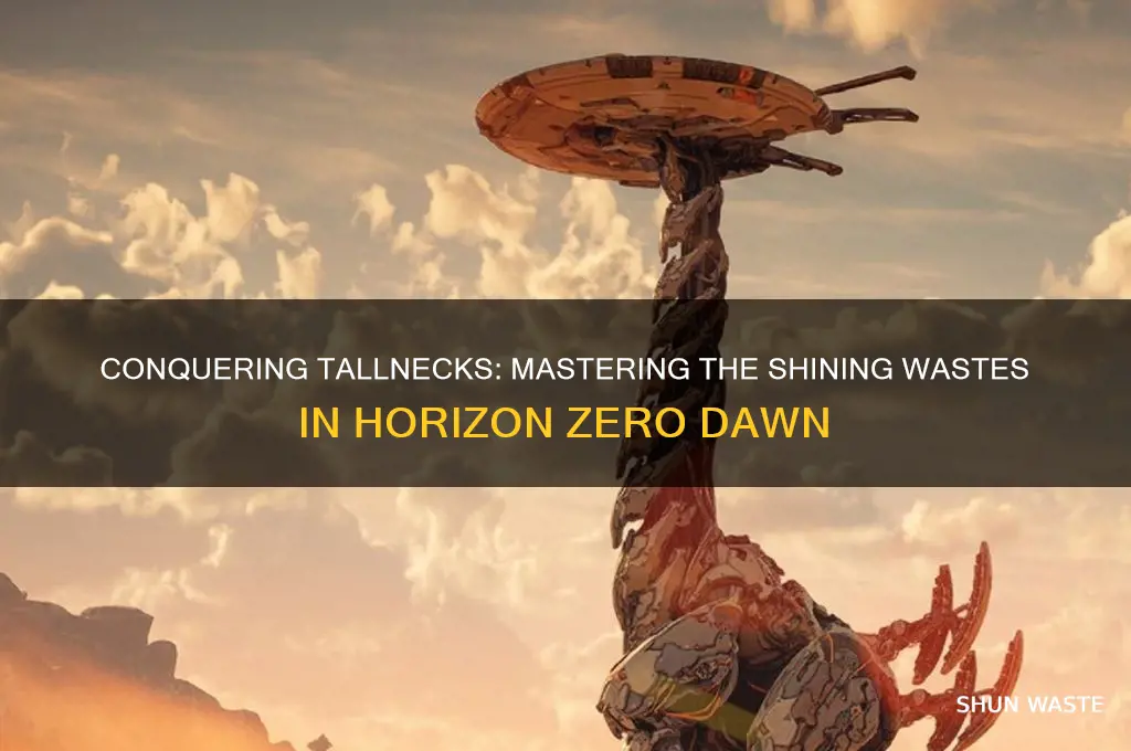 how to get on top of tallneck shining wastes