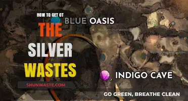 Navigating the Silver Wastes: A Comprehensive Guide to Reaching This Mystical Land