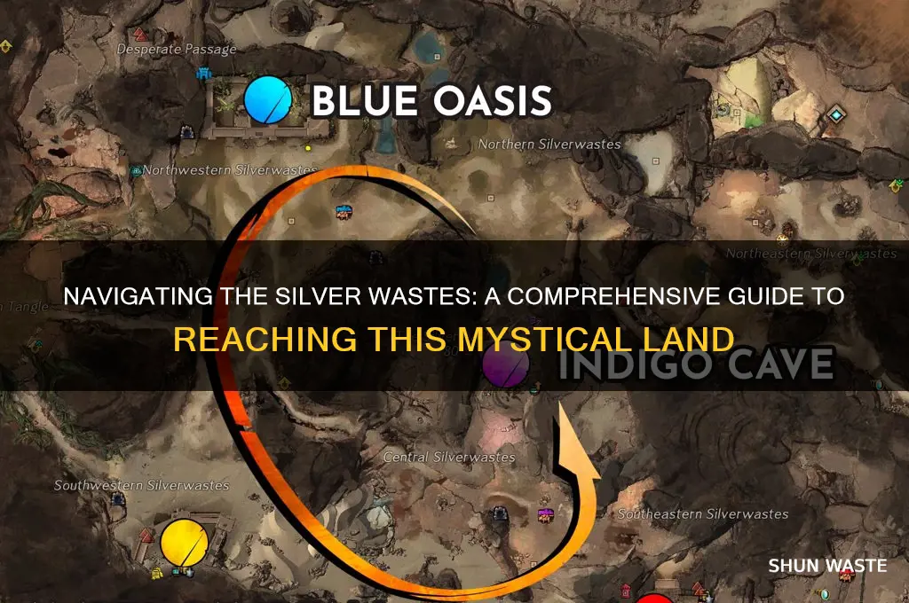 how to get ot the silver wastes