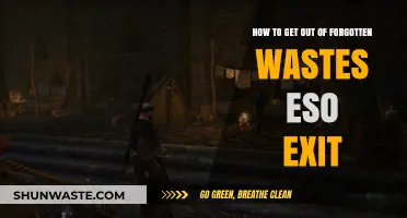 Elder Scrolls Online: Escaping Forgotten Wastes - Quick Exit Guide
