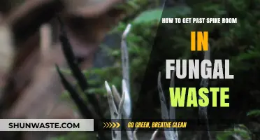 Mastering the Spike Room: Tips for Navigating Fungal Waste's Deadly Trap