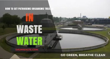 Effective Wastewater Treatment Strategies for Pathogenic Organism Elimination