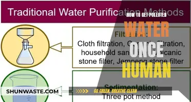 Purifying Polluted Water: A Guide to Water Treatment for Humans