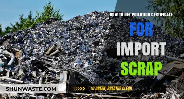 Get Your Pollution Certificate: Import Scrap Simplified
