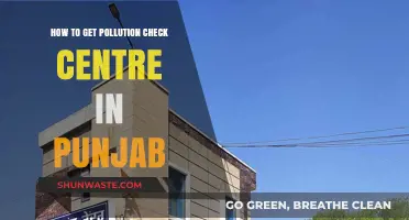 Punjab's Pollution Check: Where to Go?