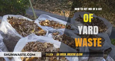 Efficient Yard Waste Removal: Tips for a Clean and Tidy Outdoor Space