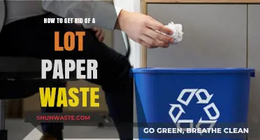 Slash Paper Waste: Smart Tips for a Greener, Clutter-Free Life