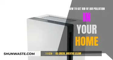 Purify Your Home's Air: Breathe Easy Again