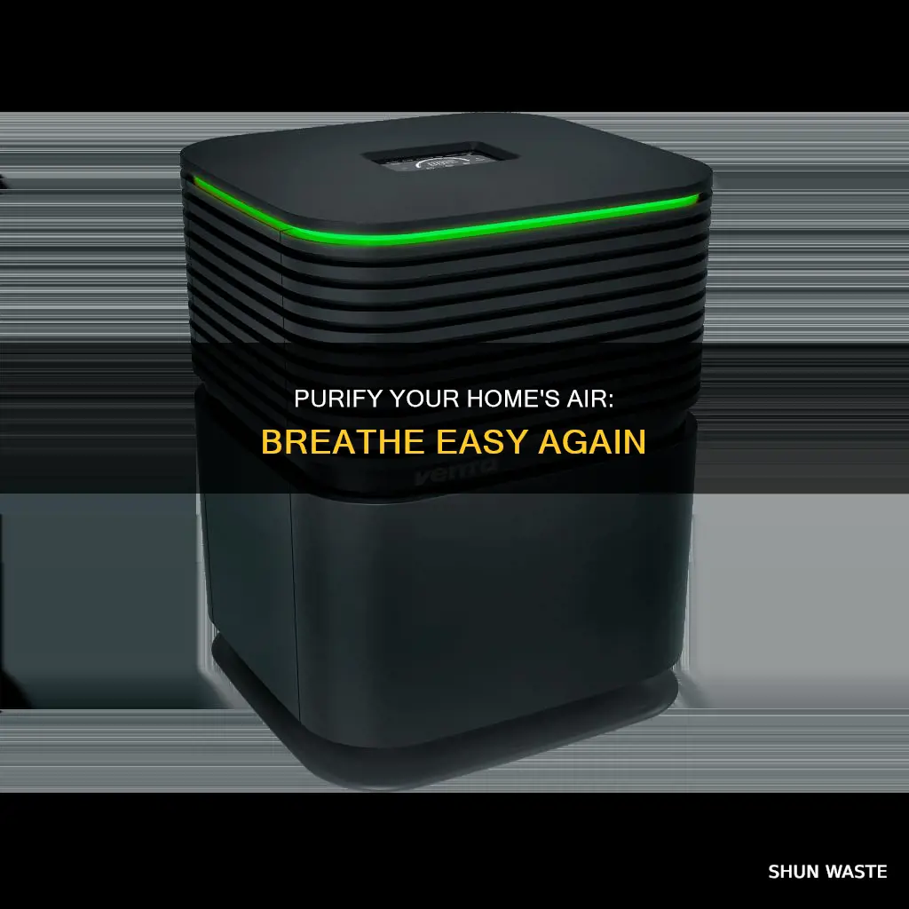 how to get rid of air pollution in your home