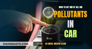 Eradicate Car Air Pollutants: Breathe Easy on the Road