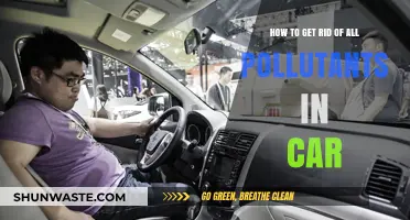 Complete Car Pollution Solution: Breathe Easy
