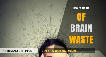 Clear Mental Clutter: Effective Strategies to Eliminate Brain Waste