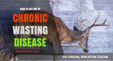 Effective Strategies to Combat Chronic Wasting Disease in Wildlife