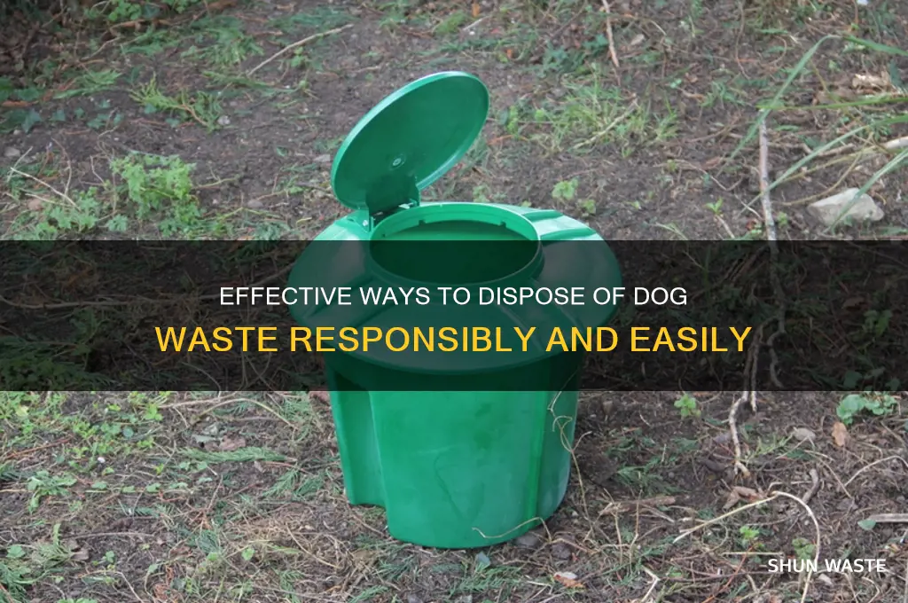 how to get rid of dog waste