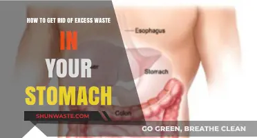 Effective Ways to Eliminate Stomach Waste and Boost Digestion