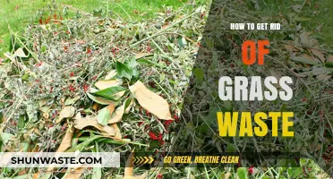 Eco-Friendly Ways to Dispose of Grass Waste in Your Garden