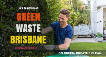 Efficient Green Waste Removal Tips for Brisbane Residents