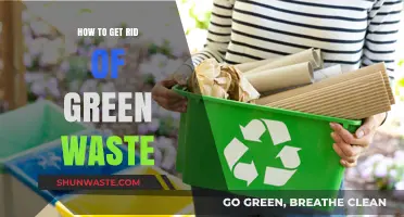 Eco-Friendly Ways to Dispose of Green Waste Effectively and Sustainably