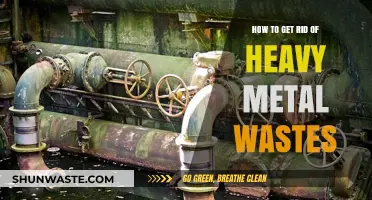 Effective Strategies to Safely Eliminate Heavy Metal Wastes from Environments