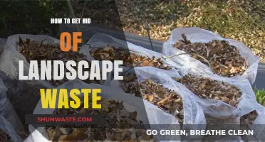 Efficient Ways to Dispose and Recycle Landscape Waste Responsibly