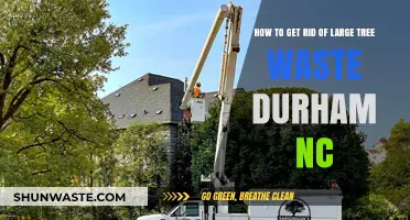 Efficient Tree Waste Removal Tips for Durham, NC Residents